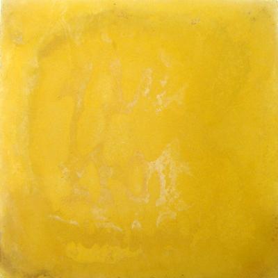 3m2 of egg yolk yellow carreaux de ciments tiles